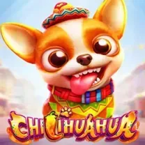 Download Do Aplicativo De Login Do Cryptorino Casino
